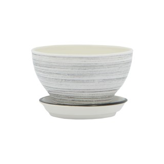 Бонсайница Глянец Бело-Черный