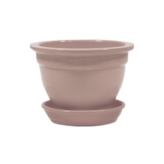 Фиалка Глянец Аметист