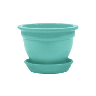 Фиалка Глянец Бирюза