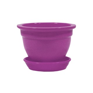 Фиалка Глянец Фуксия