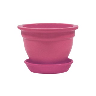 Фиалка Глянец Малина