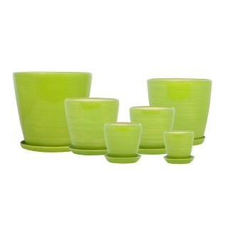 Грация Глянец Салатовый-Золото