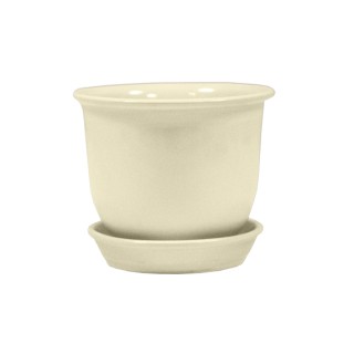 Классик Глянец Бежевый