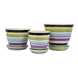 Виктор Кедр Глянец Полоска Цветная