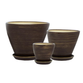 Триумф Глянец Шоколад-Золото