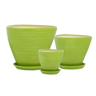 Триумф Глянец Салатовый-Золото