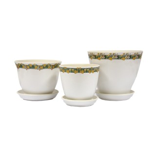 Виктор Кедр Глянец Белая Лоза