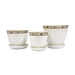 Виктор Кедр Глянец Белая Сакура