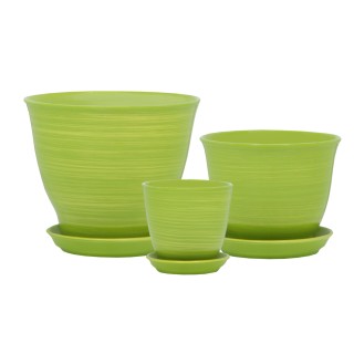 Виктор Кедр Глянец Салатовый-Золото