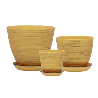 Виктор Кедр Глянец Золото-Черный