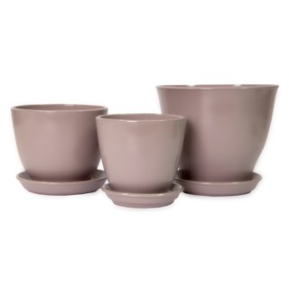 Виктор Кедр Глянец Аметист