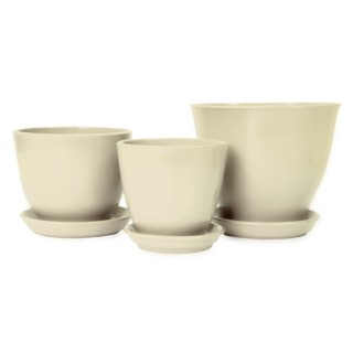 Виктор Кедр Глянец Бежевый