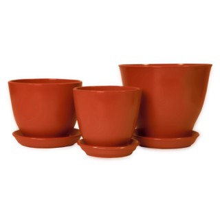 Виктор Кедр Глянец Красный