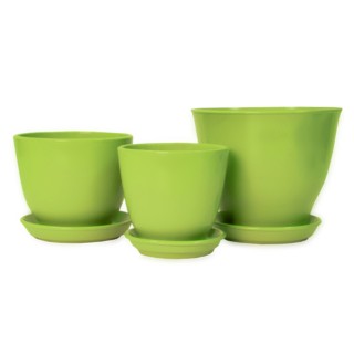 Виктор Кедр Глянец Салатовый