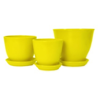 Виктор Кедр Глянец Желтый