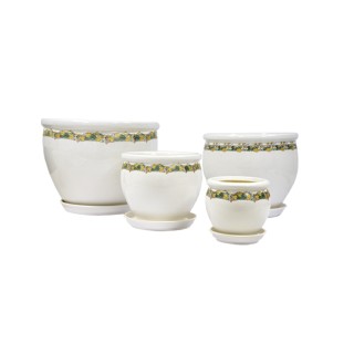 Вьетнам Глянец Белая Лоза