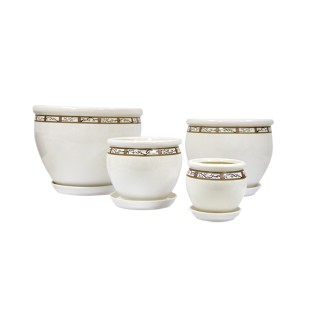 Вьетнам Глянец Белая Сакура