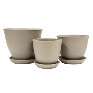 Виктор Кедр Крошка Бежевый